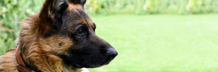 pexels-printexstar-11654188